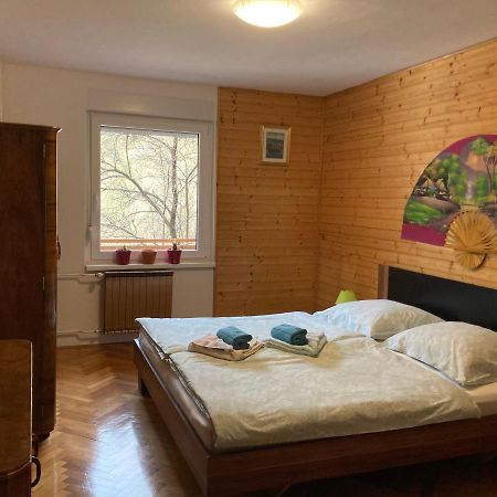 Apartment And Garden House Among The Mountains Podbrdo Luaran gambar