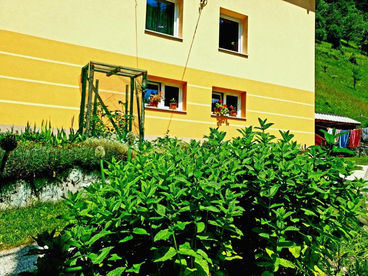 Apartment And Garden House Among The Mountains Podbrdo Luaran gambar