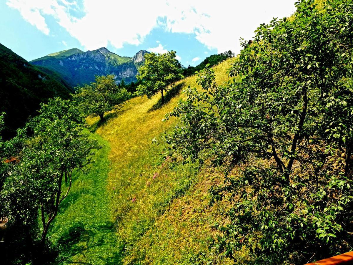 Apartment And Garden House Among The Mountains Podbrdo Luaran gambar
